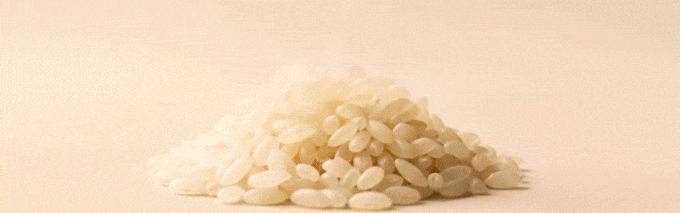el poder del arroz